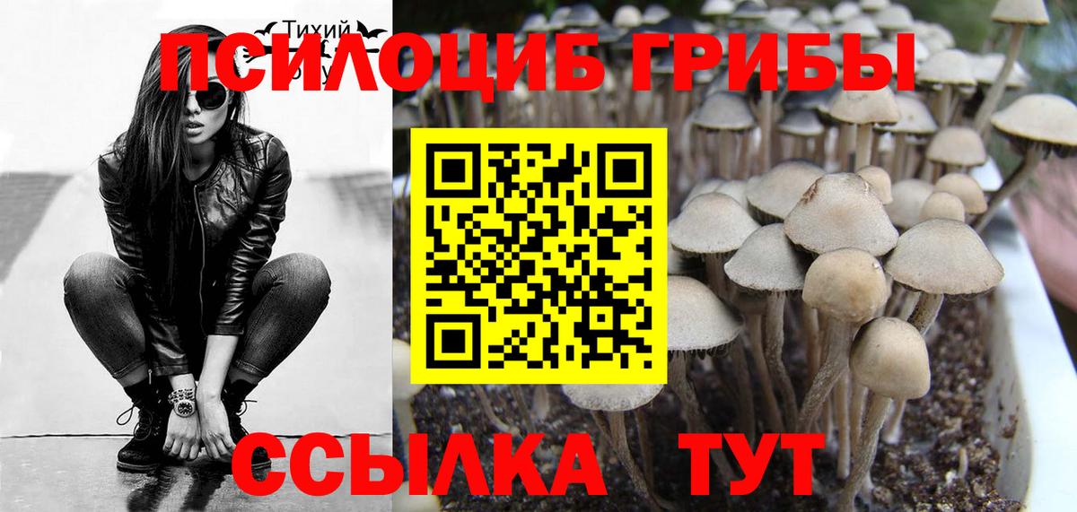 Альфа ПВП Златоуст
