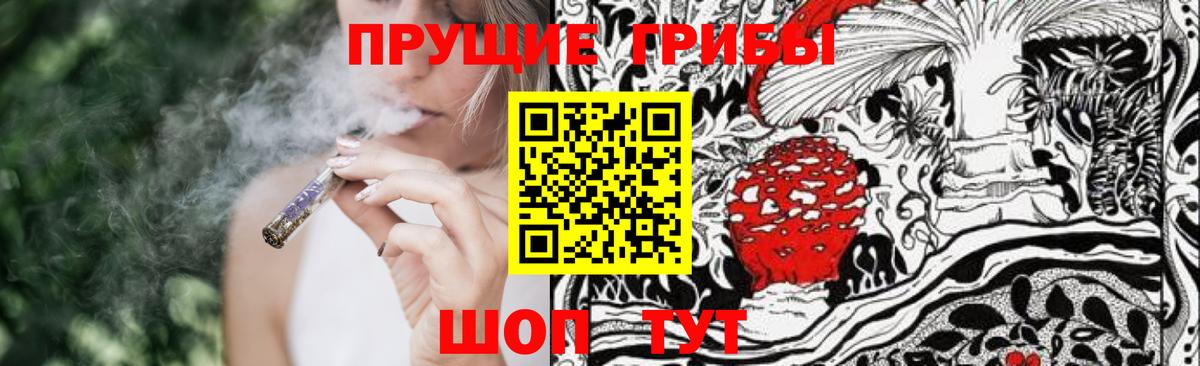 Златоуст  Псилоцибиновые грибы GOLDEN TEACHER  Вход с VPN  Галлюциногенные грибы Psilocybe 